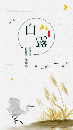 简约传统节气白露海报在线制作软件_好用的在线设计工具-易图www.egpic.cn